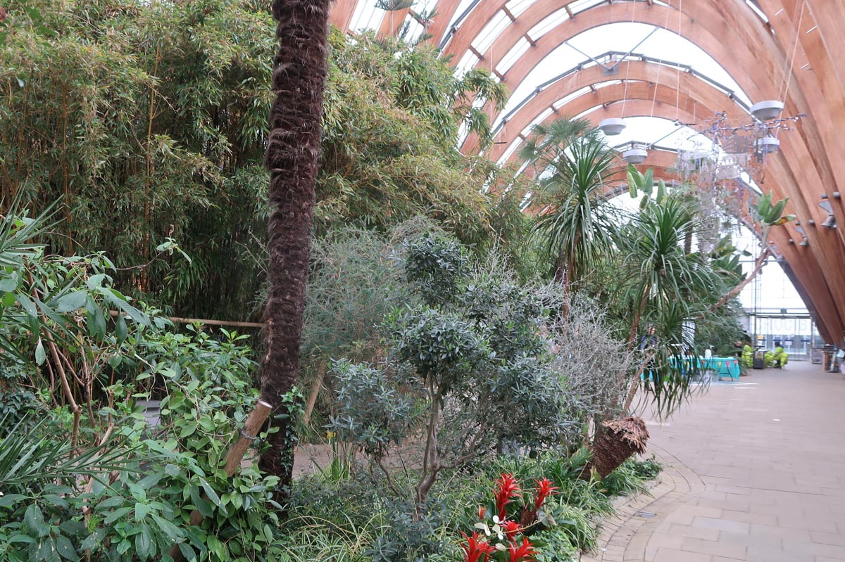 Sheffield Winter Garden