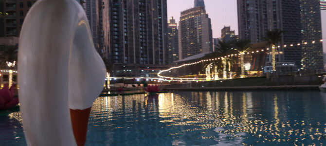 Riding the Swan Adventure Pedal Boat in Dubai – A Special Ride and Posting