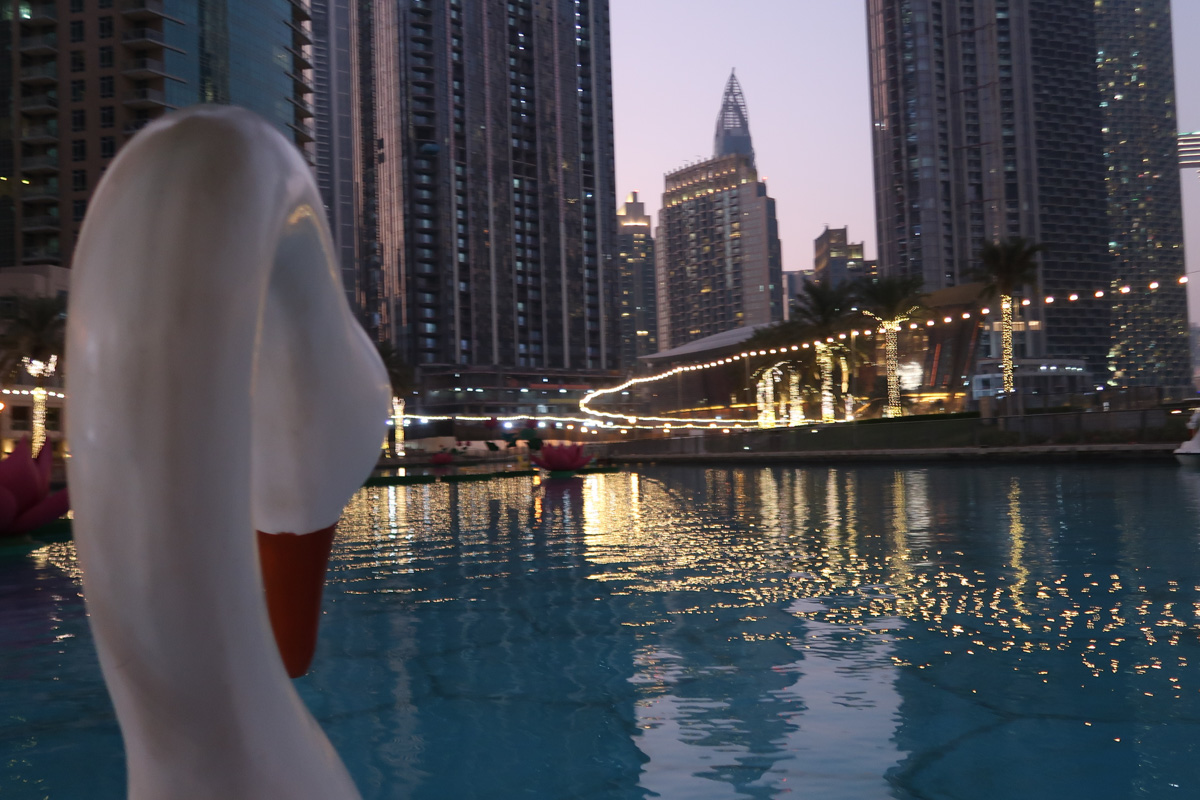 Riding the Swan Adventure Pedal Boat in Dubai – A Special Ride and Posting