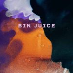 Fireside - Bin Juice