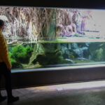 Civic Aquarium Milan