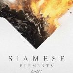 Siamese - Elements