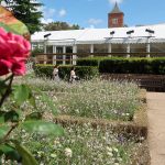 Holland Park and Japanese Gardens (London, Pictured Story)