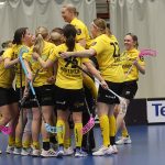 SaiPa - SB-Pro 2-1 SD (0-0, 0-0, 1-1, 1-x)