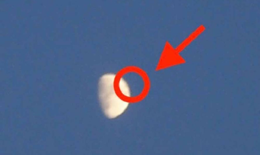 Cleopatrick – Fake Moon