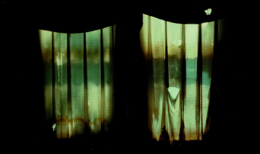 Divide and Dissolve – Insatiable