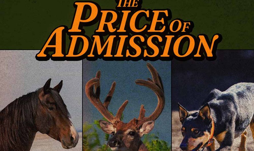 Turnpike Troubadours – The Price of Admission
