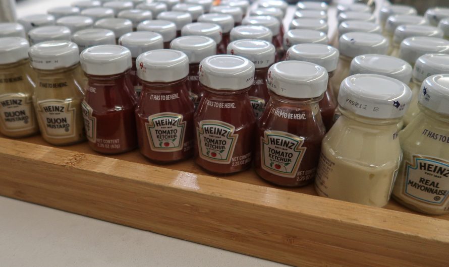 Six US States And Nashville (Day 1 – 30th May 2025) – My First Flight To Indiana