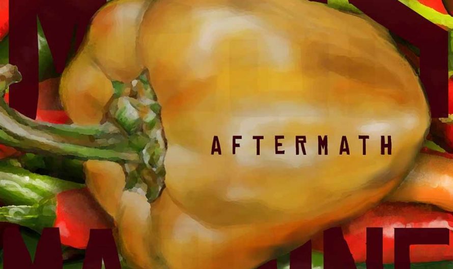 Mess Machine – Aftermath EP