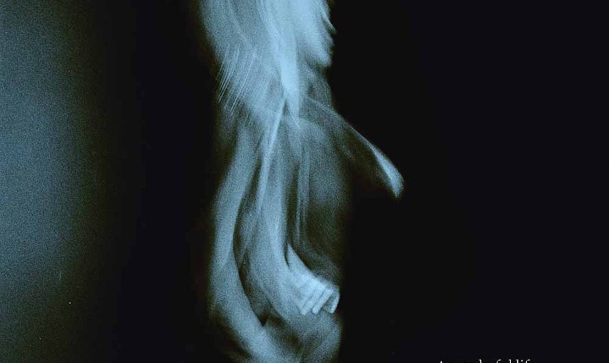 Tom Odell – A Wonderful Life