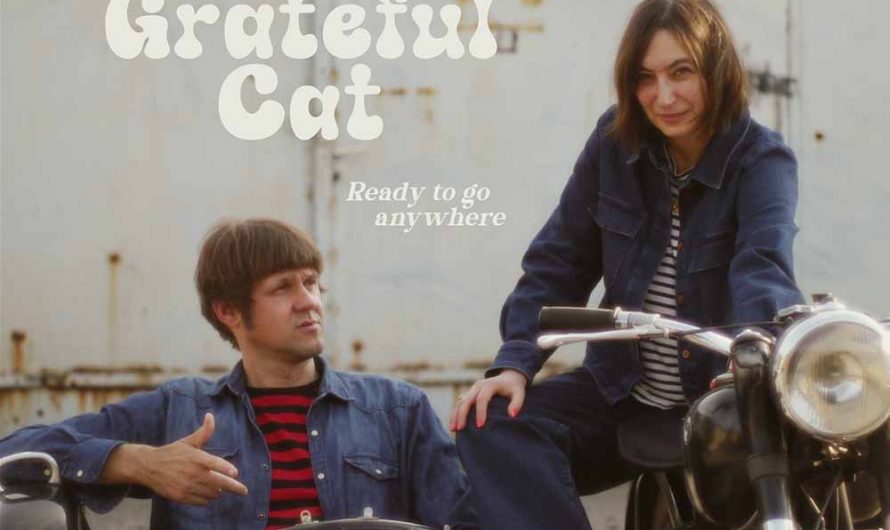 Grateful Cat – Ready to go anywhere