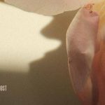Flyctory.com Songs Of The Week (week of 24th October 2025)