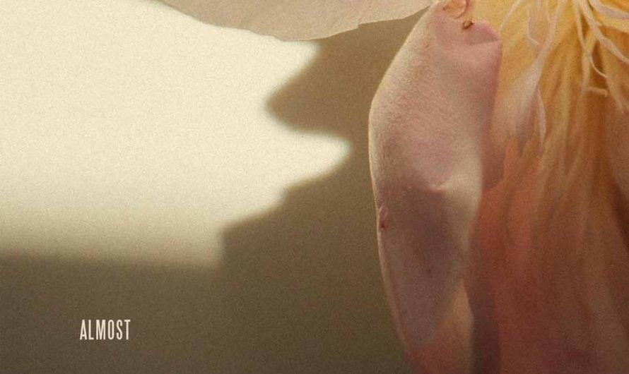 Flyctory.com Songs Of The Week (week of 24th October 2025)