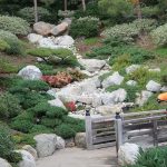 San Diego Japanese Friendship Garden (Pictured Story)