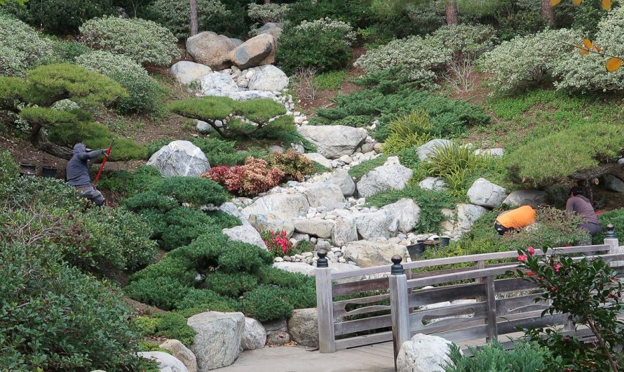 San Diego Japanese Friendship Garden (Pictured Story)