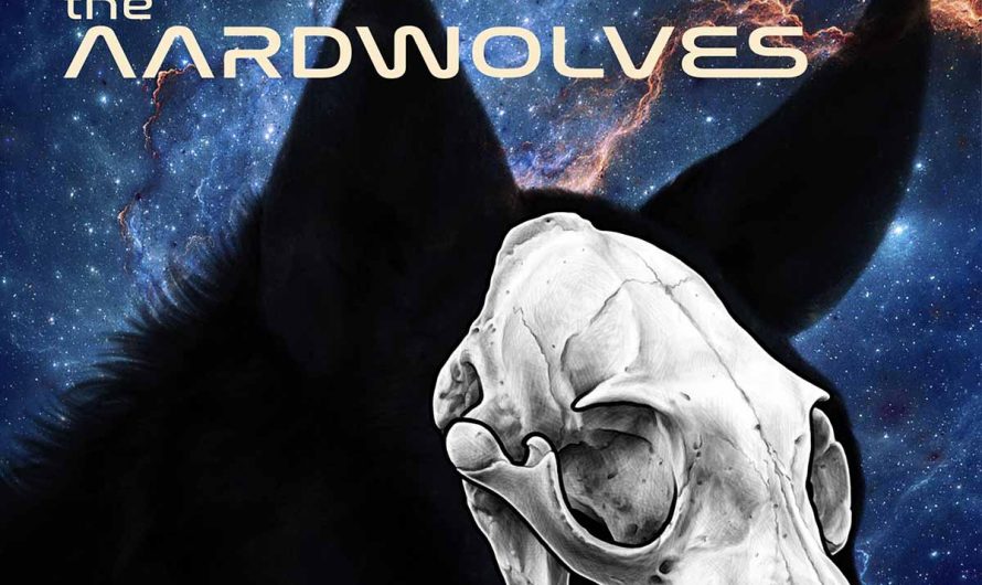 Flyctory.com Songs Of The Week (week of 20th March 2026)