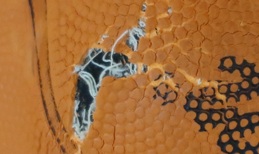 Women’s Basketball Hall of Fame