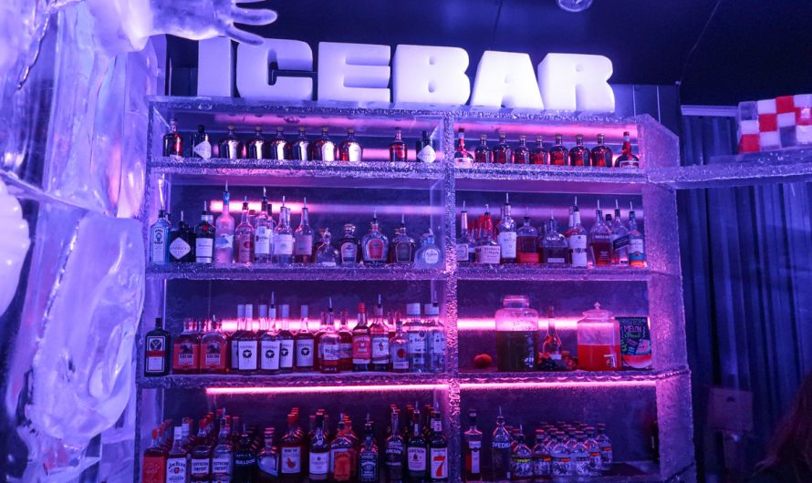 Minus 5 Ice Bar Las Vegas (LINQ Promenade)