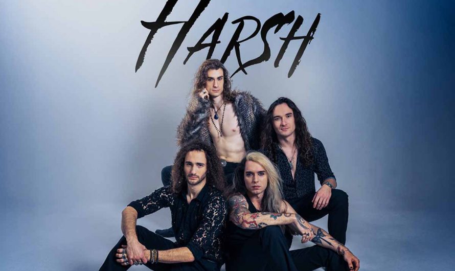 Harsh – Feels