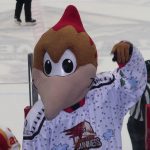 Tucson Roadrunners at Tucson Arena