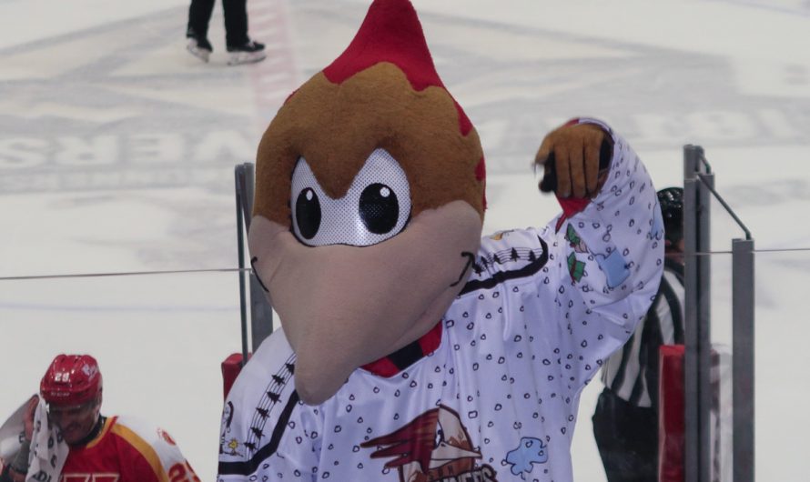 Tucson Roadrunners at Tucson Arena