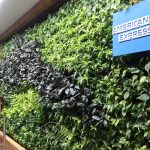 American Express Centurion Lounge Phoenix (PHX)