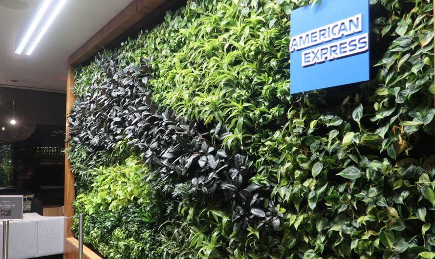 American Express Centurion Lounge Phoenix (PHX)