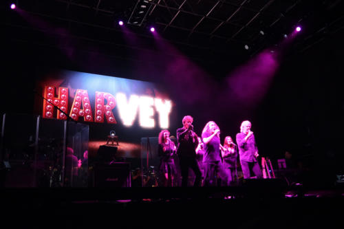 20190829 WeirdAlIndy 0066