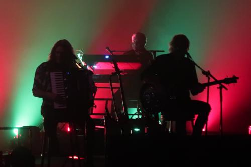 20221011ff WeirdAlShowsFlorida 0205