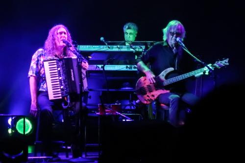 20221011ff WeirdAlShowsFlorida 0214