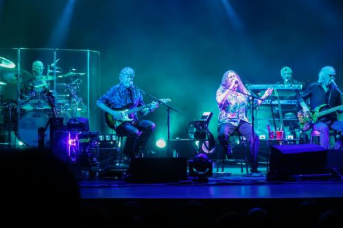 20221011ff WeirdAlShowsFlorida 0229