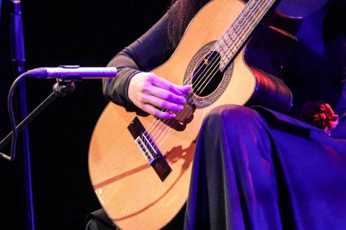 20231014 NachtDerGitarrenReut 0229