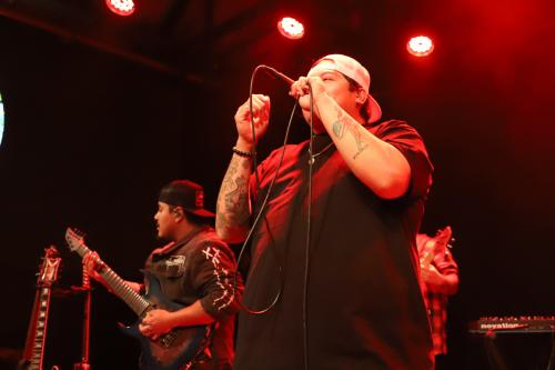 20241107 KoeWetzel 0258