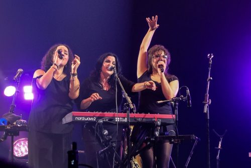 20261013 WeirdAlBigWeirdLast Day04 ARTIST 0108