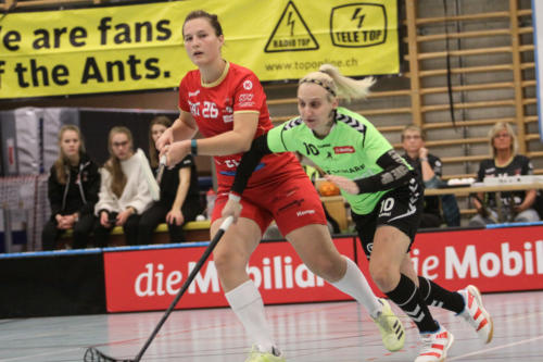 201810 RedAntsLaupen 0043