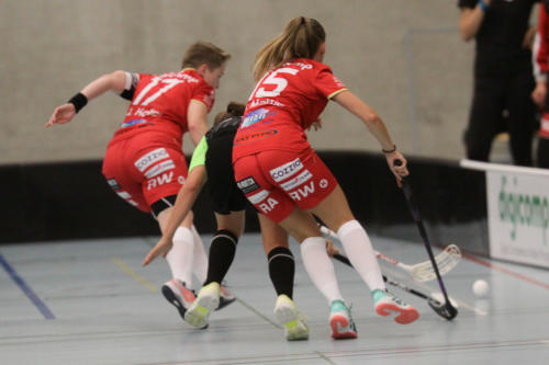 201810 RedAntsLaupen 0107