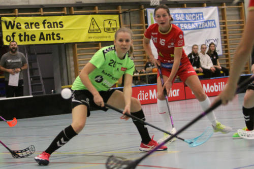 201810 RedAntsLaupen 0132