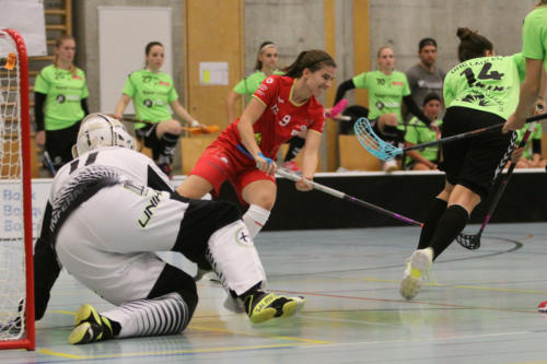 201810 RedAntsLaupen 0134