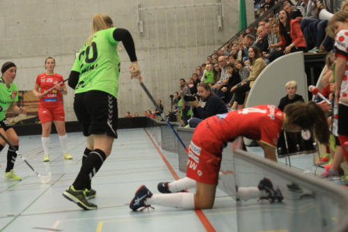 201810 RedAntsLaupen 0213