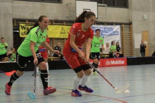 201810 RedAntsLaupen 0243