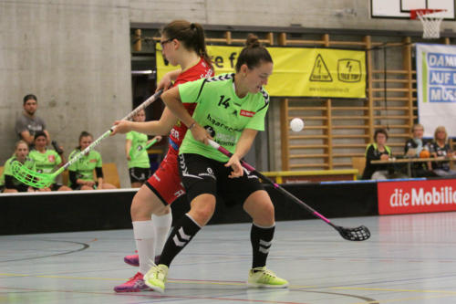 201810 RedAntsLaupen 0261