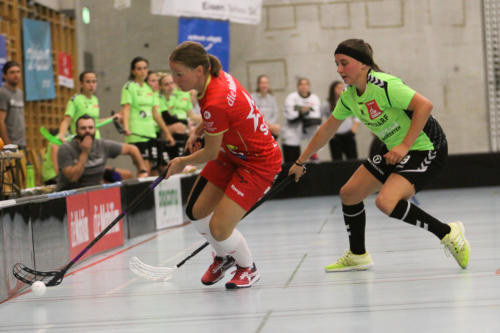 201810 RedAntsLaupen 0270