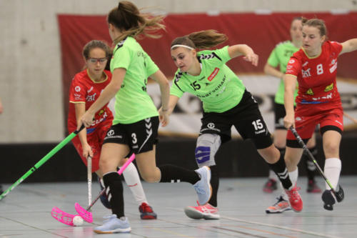 201810 RedAntsLaupen 0279