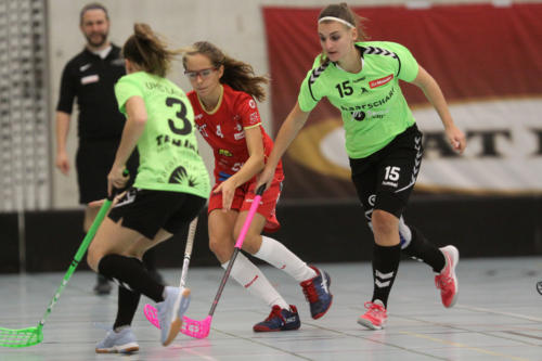 201810 RedAntsLaupen 0280