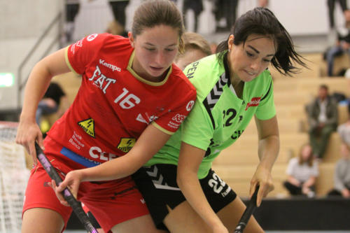 201810 RedAntsLaupen 0310