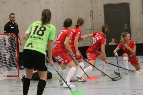 201810 RedAntsLaupen 0344