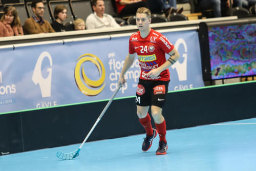 201801 CC2019 Stor FlorMB 0009
