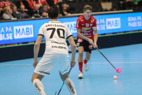 201801 CC2019 Stor FlorMB 0014