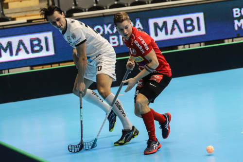 201801 CC2019 Stor FlorMB 0019