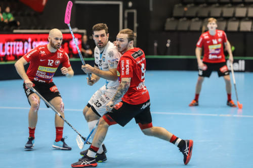 201801 CC2019 Stor FlorMB 0064